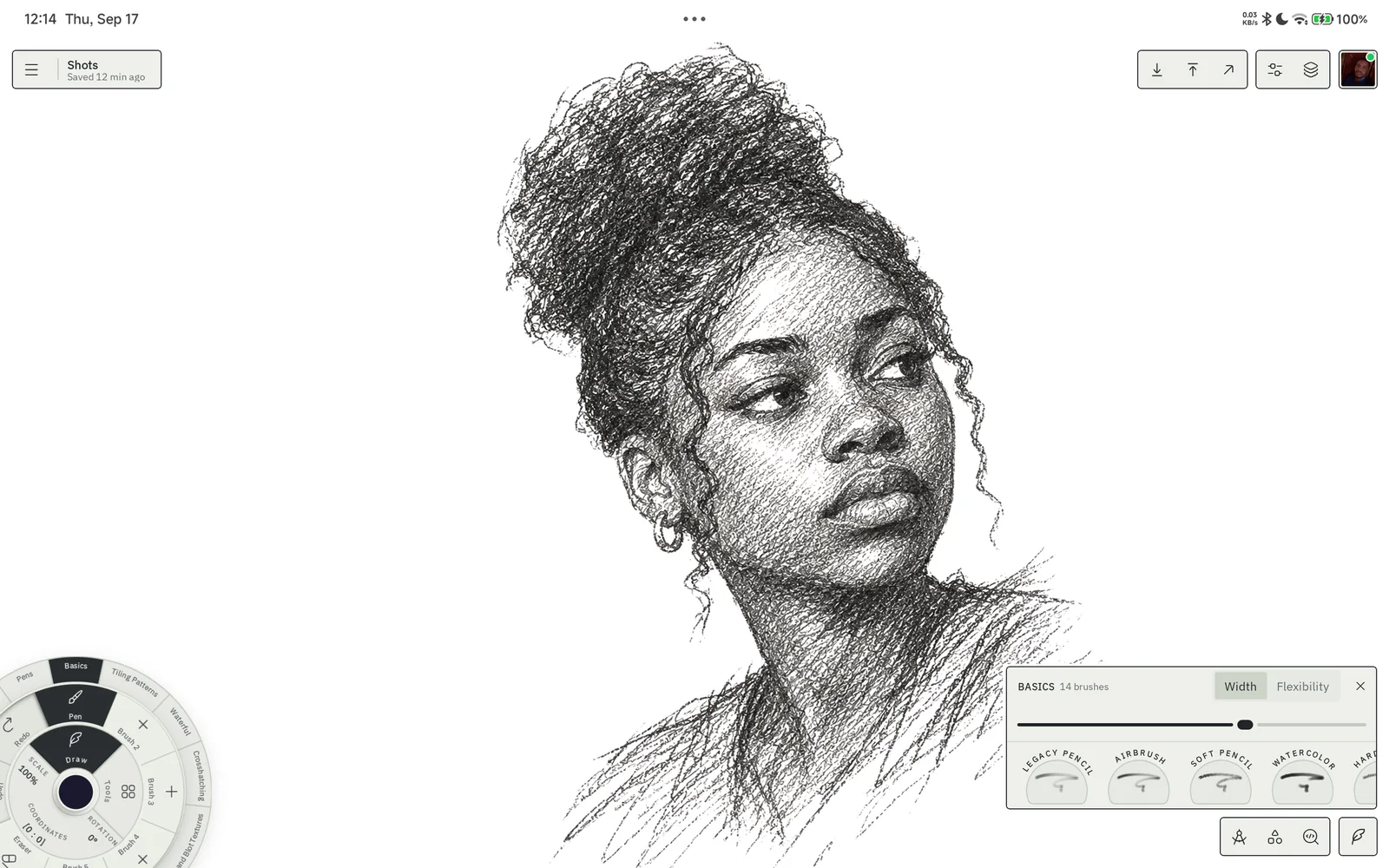 A graphite portrait study on the sheet with the brush dock open